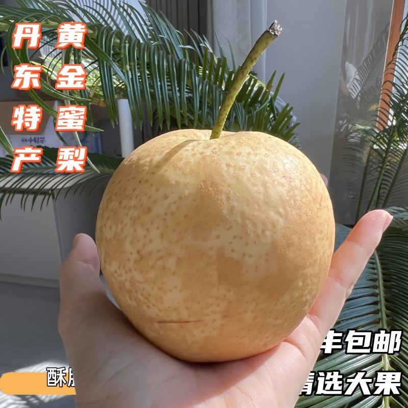 酥脆无渣，脆甜多汁，黄金蜜梨