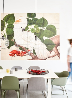 现货 荷兰IXXI Salmon-crested cockatoo美冠鹦鹉装饰画 墙面装饰