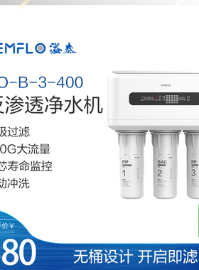溢泰Kemflo400G大通量无桶反渗透纯水RO机RO-B-3-400