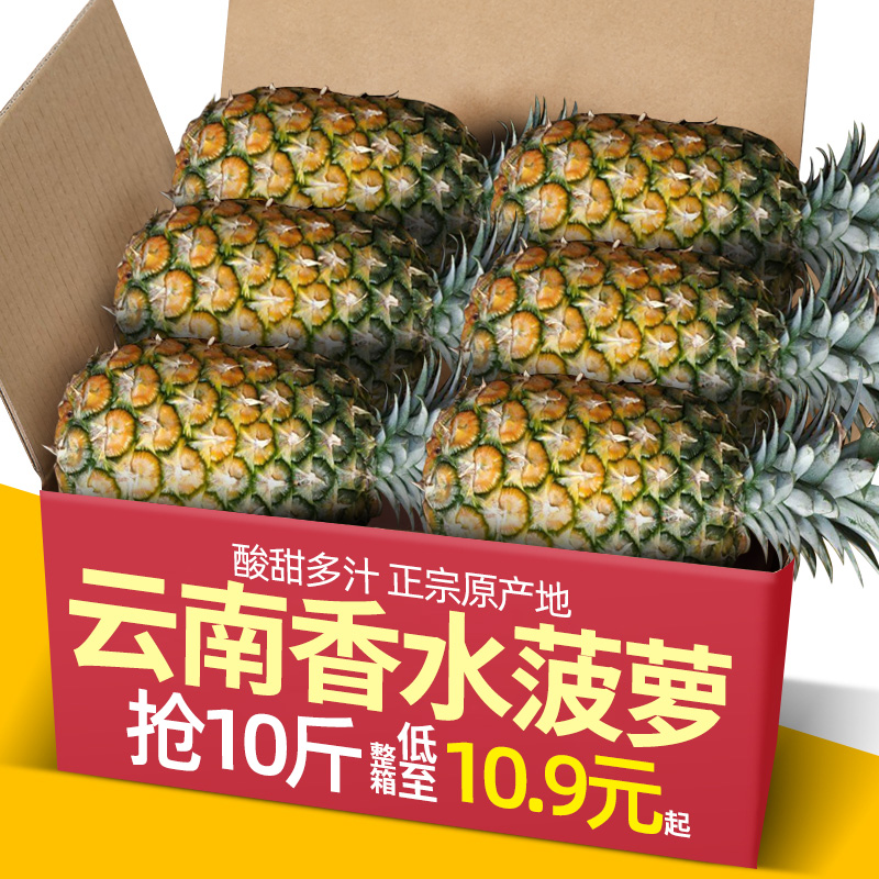 云南香水菠萝10斤新鲜水果当季整箱孕妇徐闻菠萝小凤梨甜波萝5