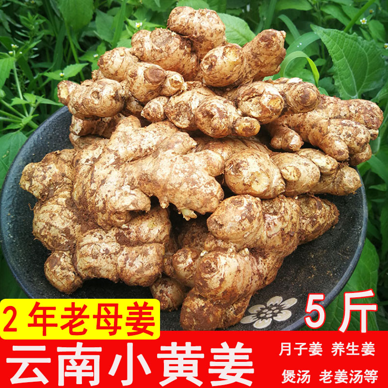 正宗云南小黄姜高山现挖农家