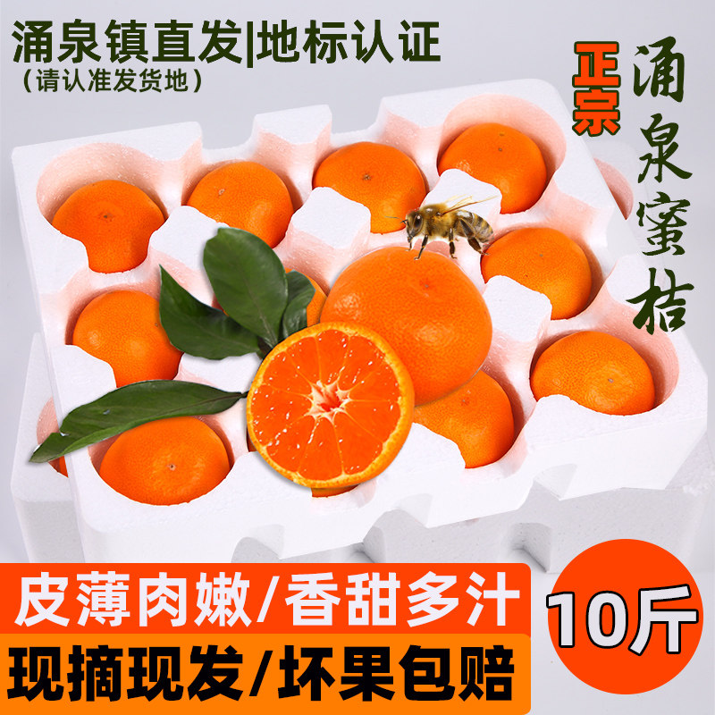 正宗临海涌泉蜜桔浙江台州黄岩早熟无核柑橘子当季新鲜水果10斤