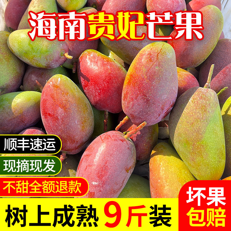 海南贵妃芒10斤5芒果新鲜水果当季整箱彩虹芒树上熟红金龙芒