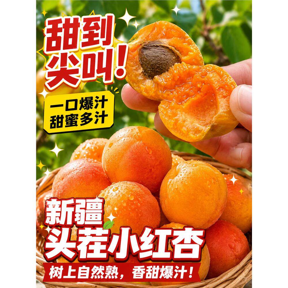 正宗新疆小红杏吊干杏子