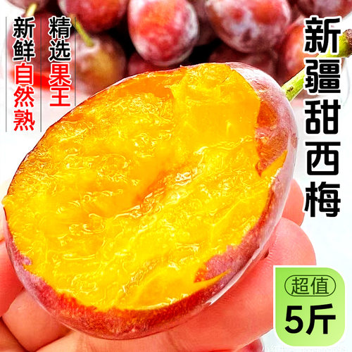 新鲜西梅水果应季正宗新