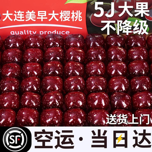 当季 水果大车厘子山整烟箱东台9 包邮 大连美早樱桃新鲜5斤顺丰空运