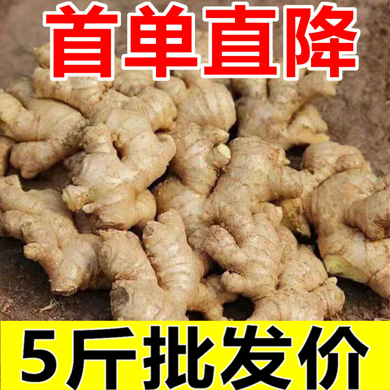 黄六爷云南老云南老姜10斤