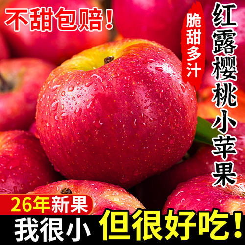 云南红露樱桃小苹果丑当