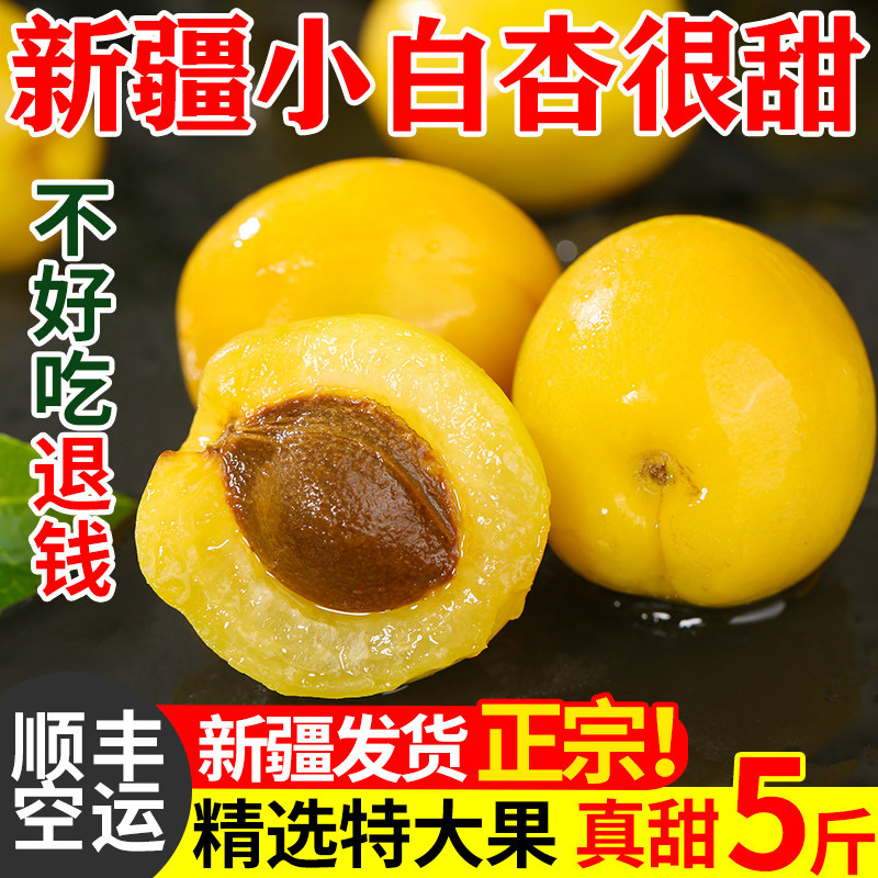新疆小白杏轮台新鲜水果库车白杏子甜杏特产当季顺丰整箱胜小红杏