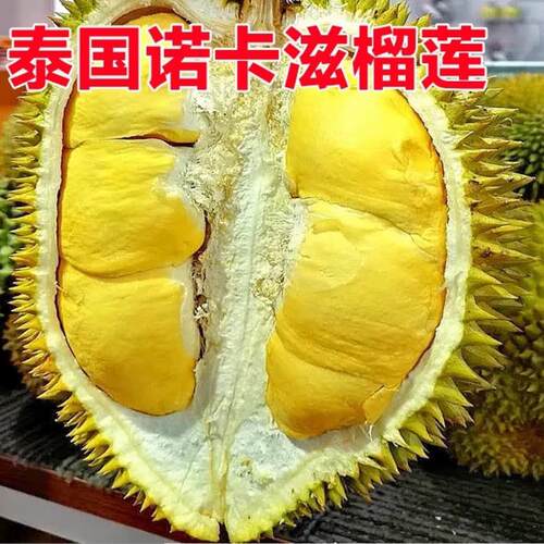 【稀有品种】泰国正宗诺