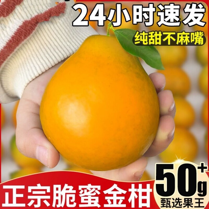 正宗融安脆蜜金柑新鲜脆蜜金桔水果桔子柑橘整箱包邮礼盒装