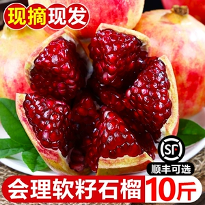 [会理突尼斯软籽石榴10斤应当季新鲜水果无籽甜红石榴礼盒整箱包邮]