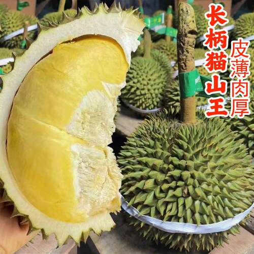 泰国长柄猫山王新鲜榴莲