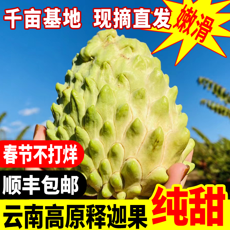 云南高原牛奶凤梨释迦果
