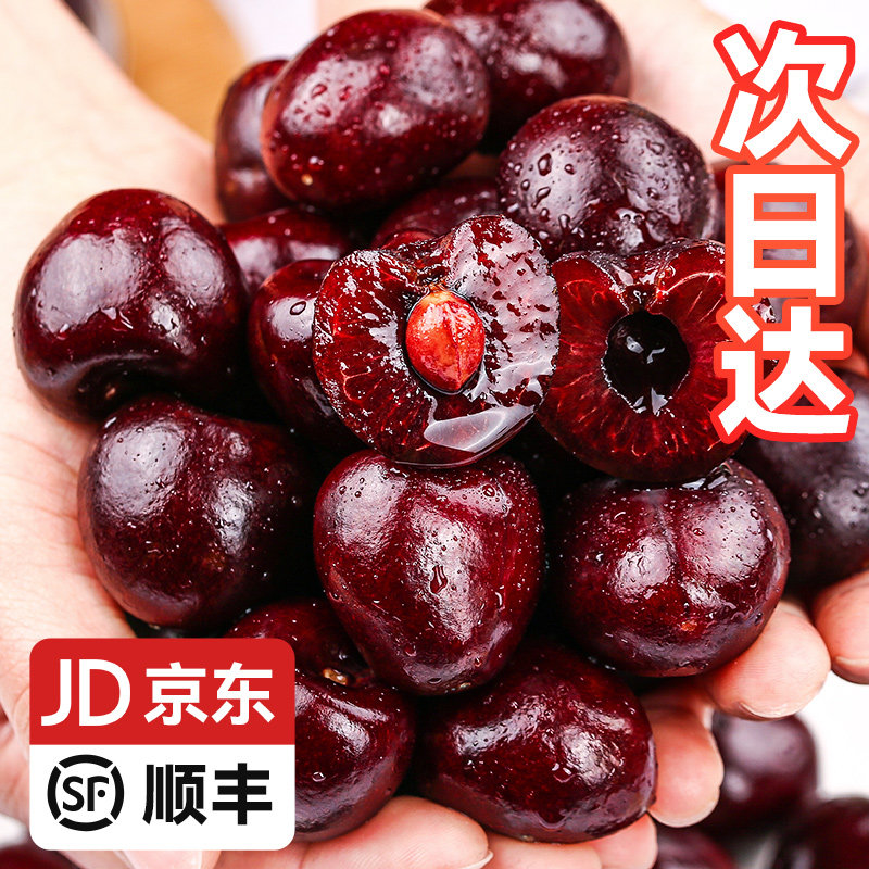 智利车厘子5斤新鲜水果当