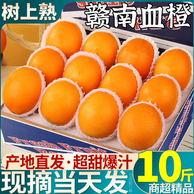江西赣南血橙10斤橙子新鲜水果当季现摘中华红肉橙果冻橙孕妇冰糖