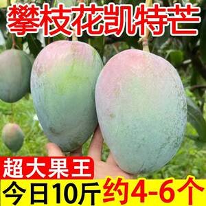 攀枝花凯特芒爆甜凯特大芒果应当季新鲜水果甜芒果10斤整箱