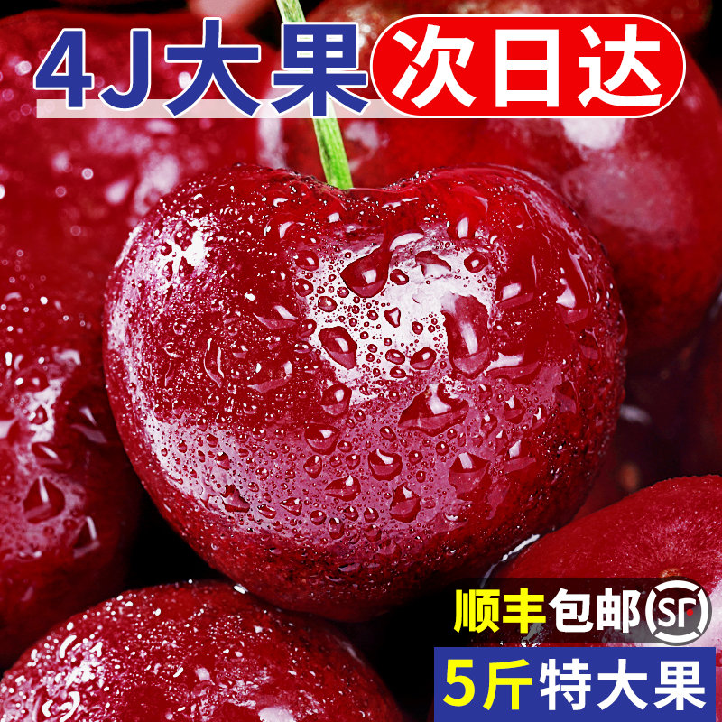 探味君1斤20-中美早樱桃新鲜