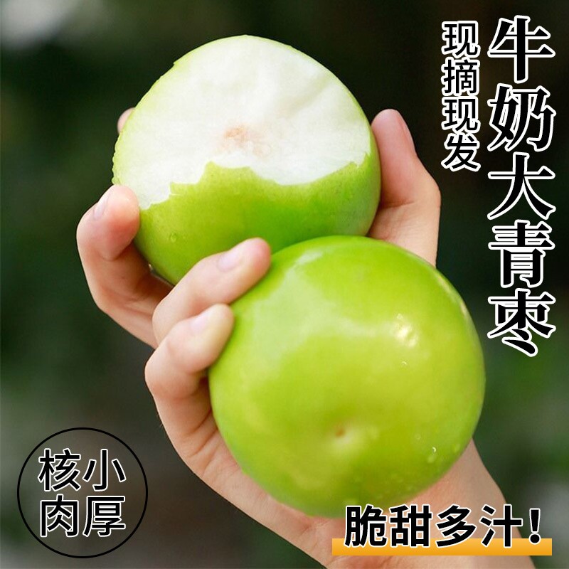 现货云南牛奶枣大青枣台湾贵妃牛奶蜜枣新鲜苹果脆甜冬枣子包邮