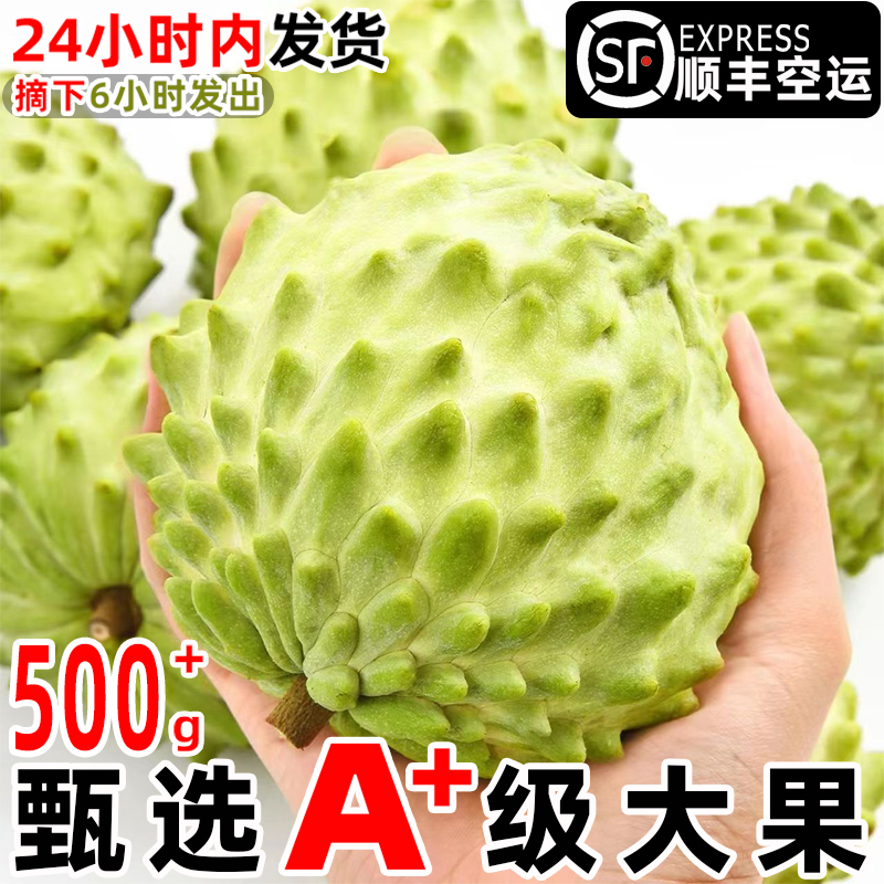 顺丰特大果云南牛奶凤梨