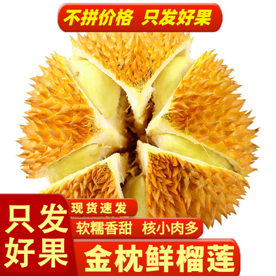 泰国金枕头榴莲鲜果巴掌榴莲新