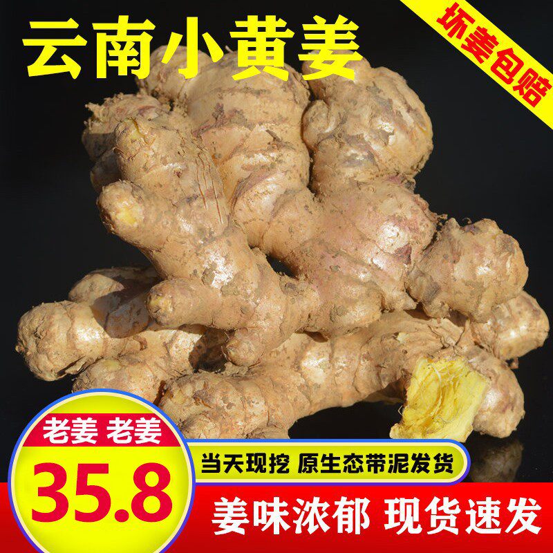 云南小黄姜新鲜生姜现挖小黄姜