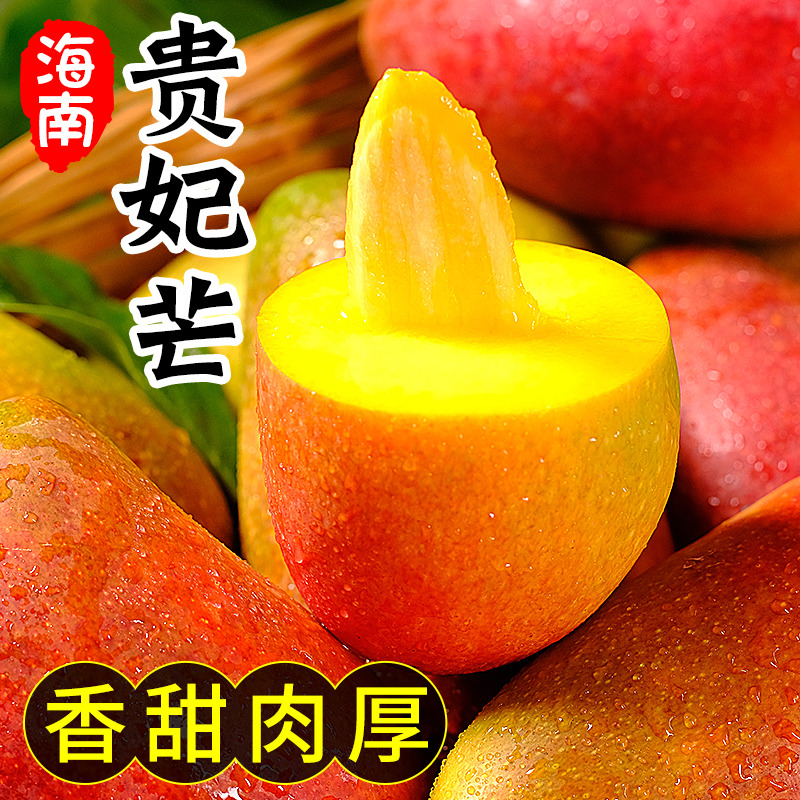海南贵妃芒芒新鲜果5斤大芒果应当季孕妇水果红金龙甜心整箱包邮