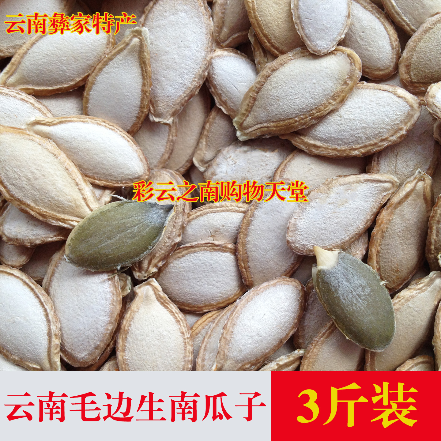 生南瓜子新货毛边老品种