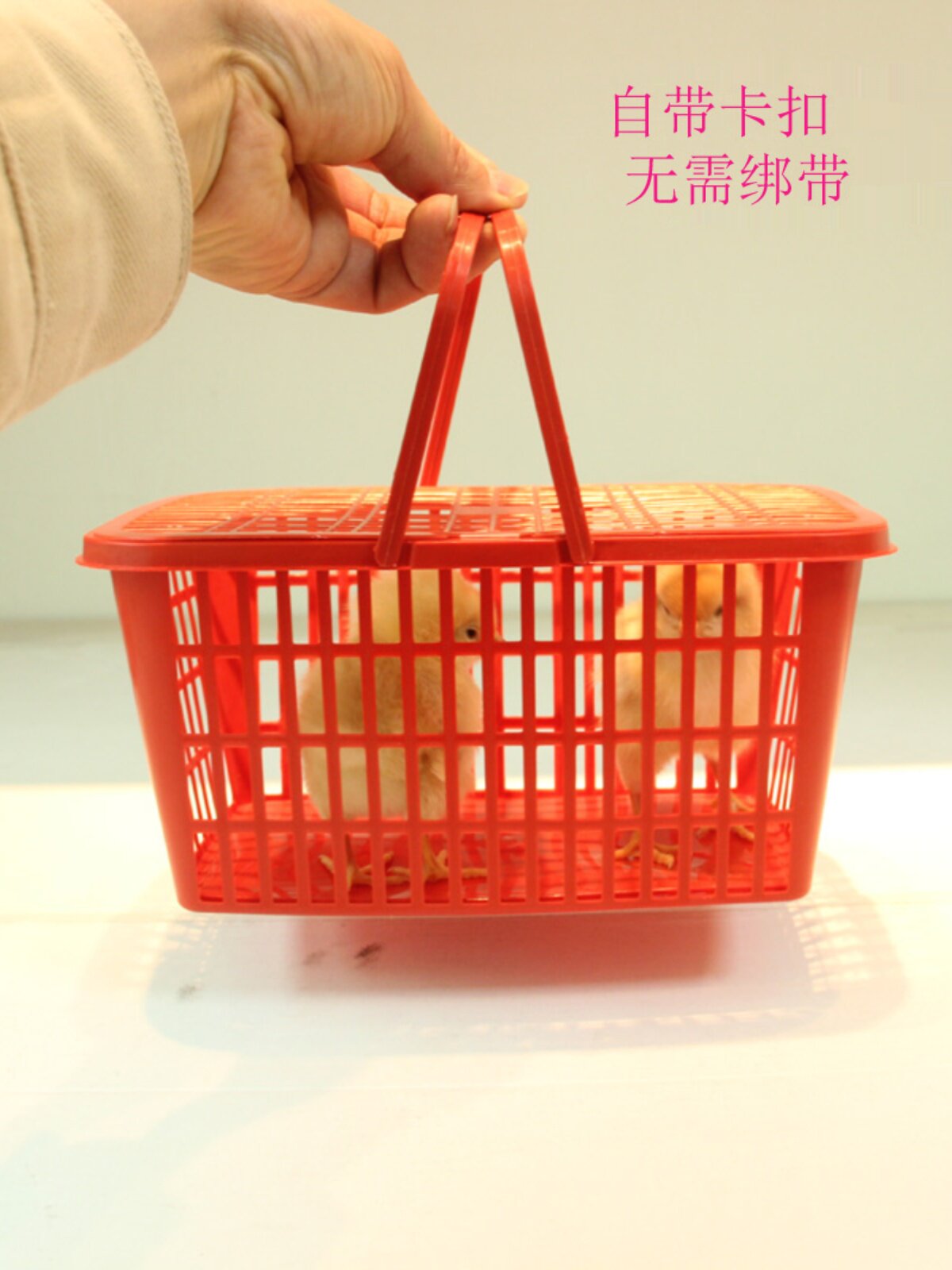宠物仓鼠输运包装篮子 小鸡鸭乌龟手提篮笼 集夜市地摊 直营包邮