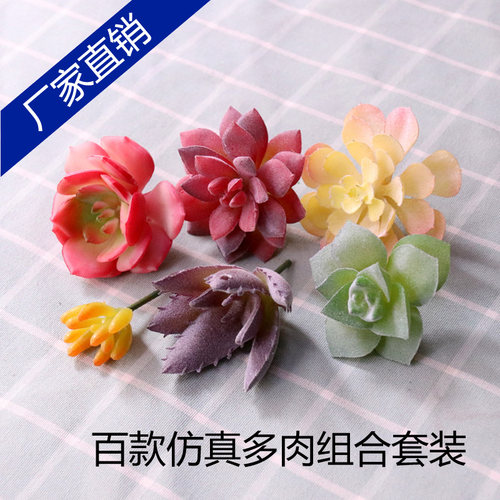 优品仿真多肉植物套装立体装饰