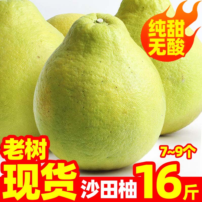 广西沙田柚容县纯甜不酸现摘现发