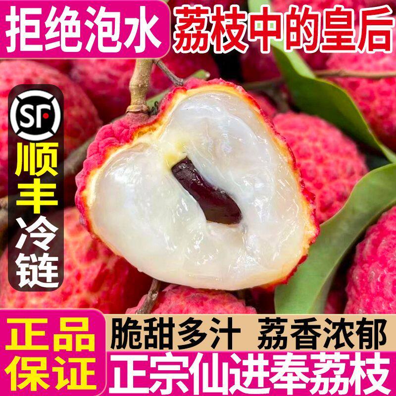 仙进奉荔枝广东增城仙进奉荔枝