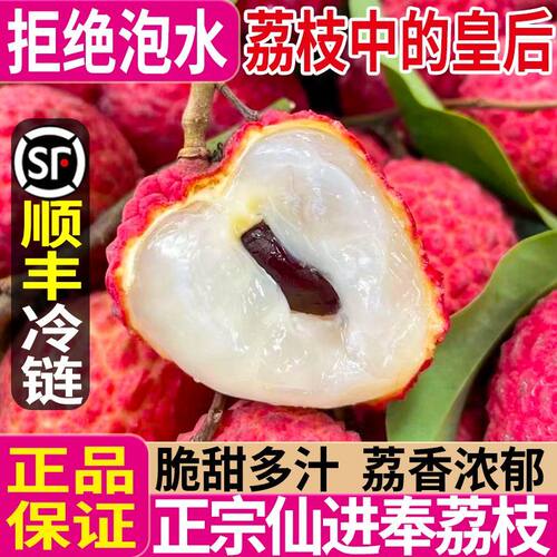 仙进奉荔枝广东增城仙进奉荔枝