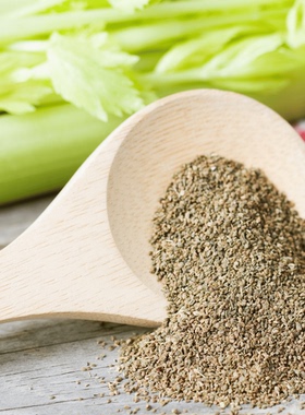 NG芹菜籽C02  德国工艺  印度原料 2月预团 原料测试链接 许诺言