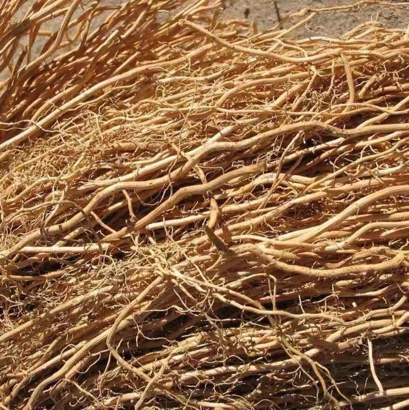 4年生岩兰草纯露  云南有机农场提供 1月预团  测试链接 许诺言,美容护肤/美体/精油,纯露/花水,淘宝优惠券,粉丝福利购,淘宝优惠卷