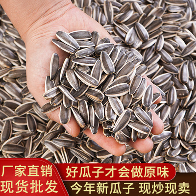 内蒙五原新货葵花籽中大原味薄皮生瓜子散装孕妇零食五香焦糖炒货