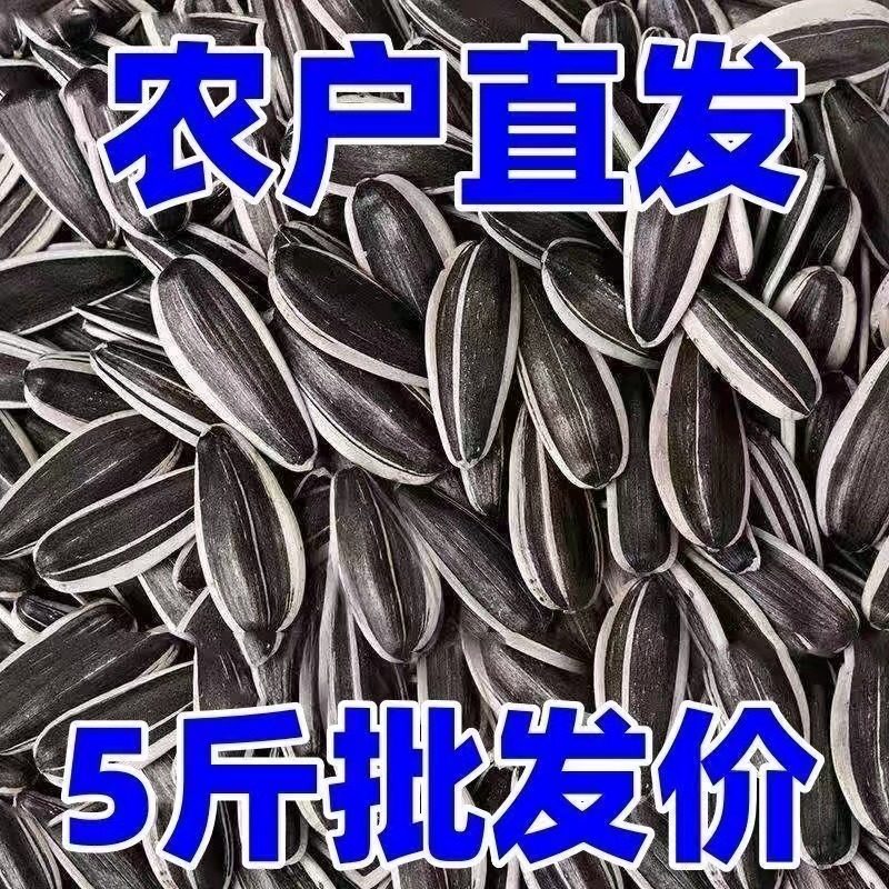 内蒙五原新货葵花籽中大原味薄皮生瓜子散装孕妇零食五香焦糖炒货