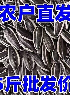 内蒙五原新货葵花籽中大原味薄皮生瓜子散装孕妇零食五香焦糖炒货