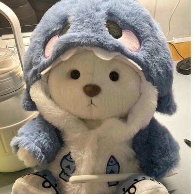 莉娜米小熊安抚闺蜜玩偶送抱公仔女友睡觉毛绒玩具娃娃生日礼物