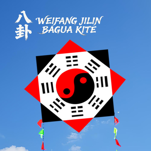 莹轩风筝好飞易学初学者八卦风筝