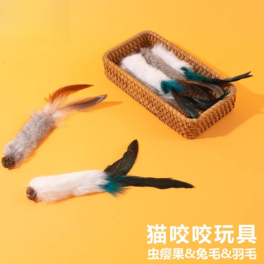 猫玩具虫瘿果羽毛磨牙啃咬自嗨解闷自己玩逗猫神器猫咪