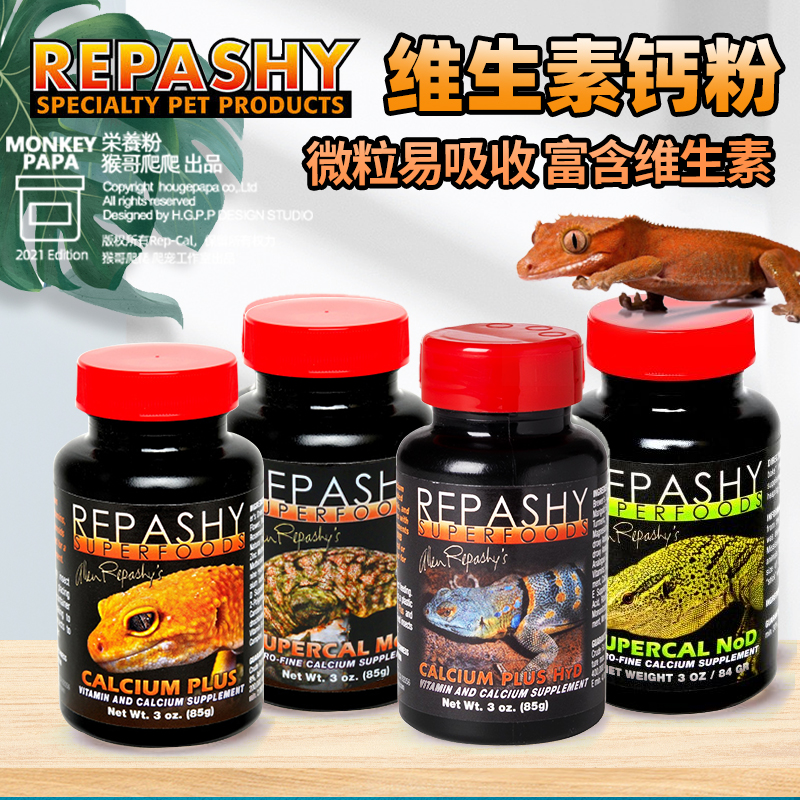 守宫鬃狮爬虫repashyr牌爬宠钙粉