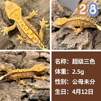 № 28 Super -Three -Color 2,5 г