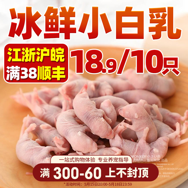 冰冻小白鼠红皮乳鼠爬宠饲料