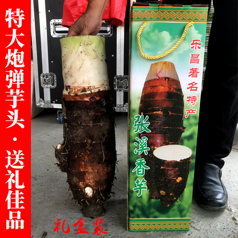 礼盒装特大炮弹芋头粉糯香