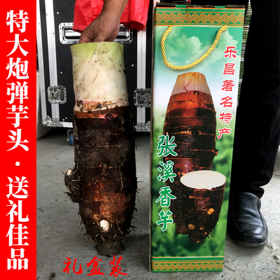 礼盒装特大炮弹芋头粉糯香