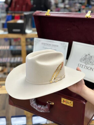STETSON美国产1000X海狸毛卷边西部牛仔帽14k金镶钻大檐帽骑马帽