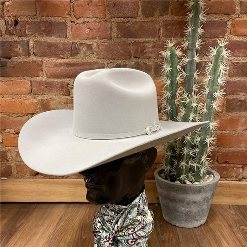 STETSON复古西部牛仔帽海狸毛10X