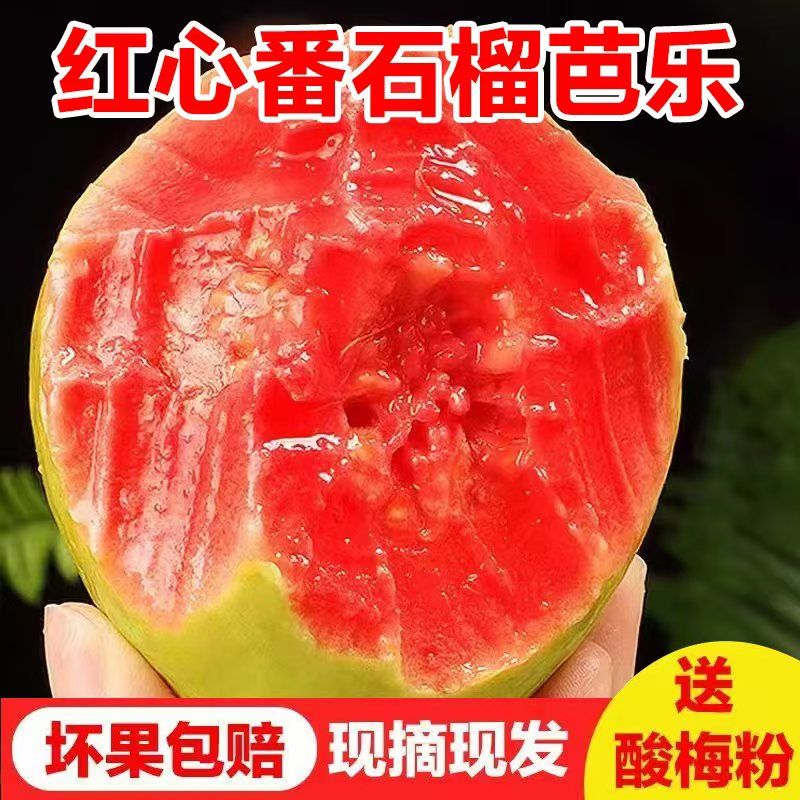【软糯香甜】红心奶油芭乐现摘当季番石榴低糖水果【送酸梅粉】