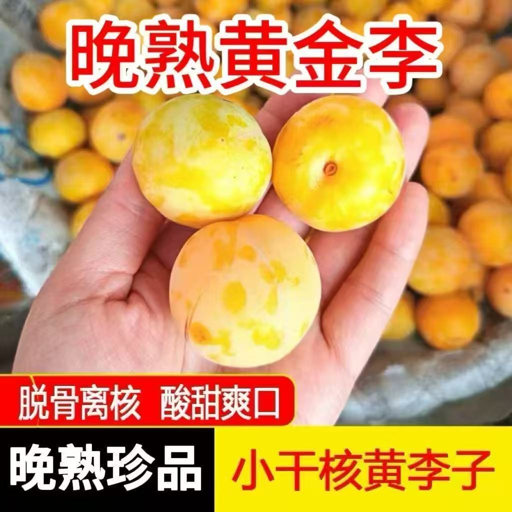 鸡心李子脱骨东北酸甜图片
